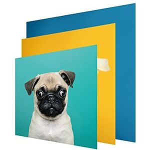 INFORMA Frame-overtrekken, 3 verwisselbare fotolijsten voor honden, frameloze, 49 x 49 cm, verwisselbare motieven met UV-direct print voor LED-fotolijsten