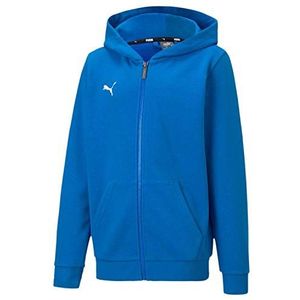 PUMA Jungen Trainingsjacke teamGOAL 23 Casuals Hooded Jacket Jr, Electric Blue Lemonade, 116, 656714