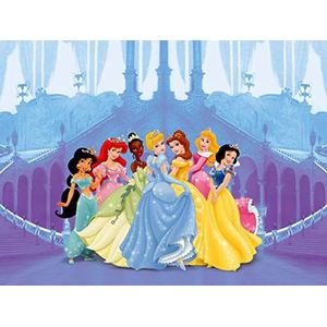 AG Design FTD 0264 Disney Princesss, papier fotobehang - 360x254 cm - 4 delen, papier, multicolor, 0,1 x 360 x 254 cm