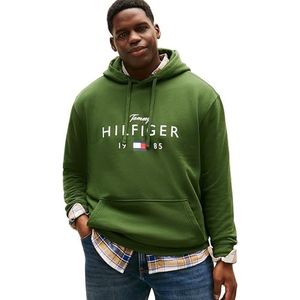 Tommy Hilfiger Heren BT-BRNDLOVE BIG HILFIGER HOODY-B MW0MW42997 Pullover Hoodie, GROEN, XXL_Plus, Groen (Mountain Pine), XXL grote maten