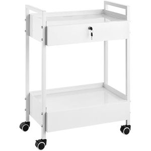 VEVOR Laboratoriumwagen met 2 niveaus, medische trolley van roestvrij staal, serveerwagen, grote draagkracht 100 kg, met 2 laden, voor laboratorium, salon, ziekenhuis, tandgebruik, wit