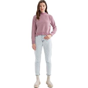 DeFacto Trui normale pasvorm voor dames - coltrui trui voor dames (LT.PINK, XS), Lt.pink, XS