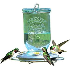 Perky-Pet 785-1SR Mason Jar Vintage glazen kolibrie Feeder - Outdoor Garden Decor - 32oz Nectar Capaciteit