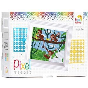 Pixel P31255 Mozaïek geschenkverpakking aap, pixel afbeelding met kader, gemakkelijk te gebruiken plug-in systeem, geen strijken of lijmen, steentjes van bio-plastic