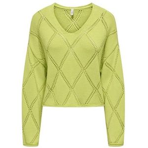 ONLY Dames Onltaylor Life Ls V-hals KNT, sap green, XS