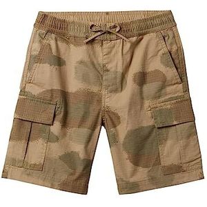 Quiksilver Jongensshorts Taxer Cargo Youth