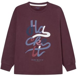 Hackett London Hackett T-shirt voor jongens, Rood (kastanjebruin), 2 jaar