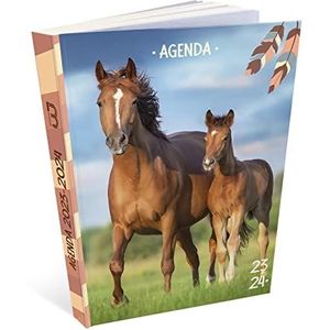 Bouchut Agenda Paard, 12 x 17 cm