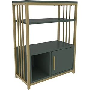 DECOROTIKA - Letos Hedendaagse boekenplank, plank, vitrinekast, boekenkast met kast en metalen frame (groen en goudkleur)