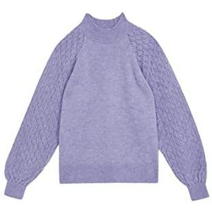 DeFacto Trui normale pasvorm voor dames - coltrui trui voor dames (lila, XL), lila (lilac), XL