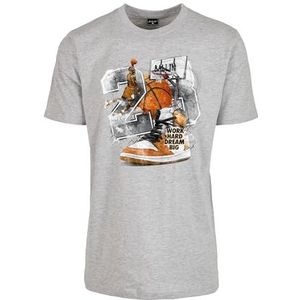 Mister Tee Herren T-Shirt Vintage Ballin Tee heather grey XXL