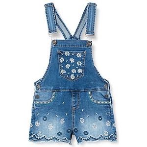 Desigual Denim_jade Shorts voor meisjes, blauw, 9-10 Jaren