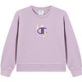 Champion - Authentic Athletic Apparel - Sweatshirt - Turquoise - Lichtgeel - Sering - Braam