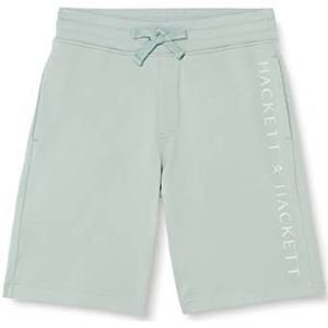 Hackett London T-shirt Jongens Korte bedrijfslogo Hackett, Lichtblauw, 5 ans