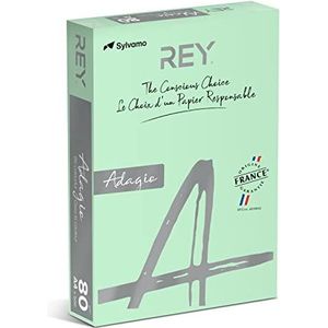 REY® ADAGIO Reprogramma papier, groen, 80 g, A4, PEFC, 500 vellen