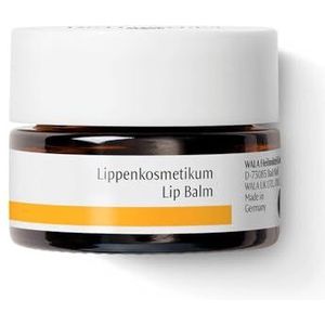 Dr. Hauschka Lipscrub, per verpakking (1 x 4,5 ml)