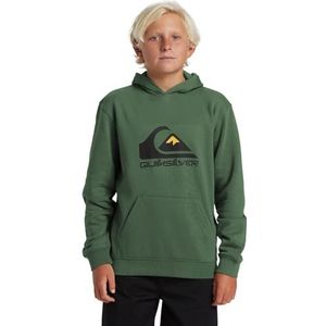 Quiksilver Big Logo Hoodie Youth Sweatshirt met capuchon voor jongens (1 stuk)