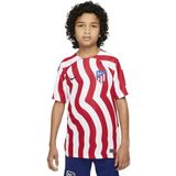 Atletico de Madrid ATM Y Nk DF Stad Jsy SS Hm T-shirt voor volwassenen