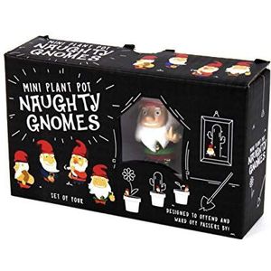 Gift Republic Naughty Gnomes Plantenbakken