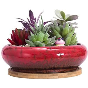 ARTKETTY Vetplantenpot, 18,5 cm grote bonsaipot met dienblad, keramische vetplant met drainagegat, ondiepe cactusbloempotten voor binnen/buitenplanten geglazuurde plantenbak, rood