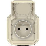 stopcontact - 2p+t - beige - opbouw - Legrand plexo 069776l