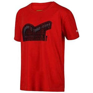 Regatta Unisex Kids Alvarado V' Active Printed T-Shirts/Polo's/Vesten