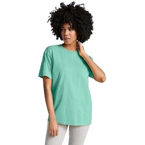 Comfort Colors T-shirt voor volwassenen voor heren, Island Reef, 3XL