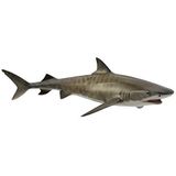 CollectA Sea Life Tiger Shark speelgoed figuur – authentiek handgeschilderd model
