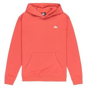 Quiksilver - Basic Hoodie - Oranje - Jongens en Meisjes - 16 Jaar