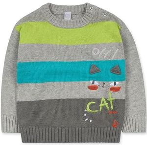Tuc Tuc Cattitude trui van tricot-design, grijs met kattenprint voor kinderen., Grijs, 9 Maanden