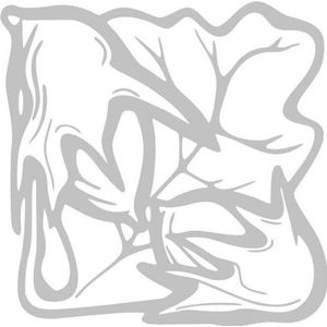 INDIGOS/Muursticker-e60 mooi bladerwerk blad bloemen planten rankjes 80x80 cm - glasdecor, vinyl, 80 x 80 x 1 cm