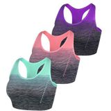 Sportbeha - Kleurverloop - Nylon/Spandex - Ondersteuning tijdens Oefeningen