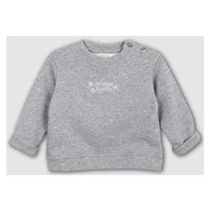 Gocco Sweatshirt met borduurwerk, lichtgrijs, gemêleerd, standaard voor baby's, Grijs licht mengsel, 6-9 Maanden