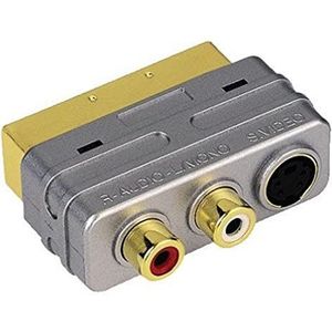 HomeTheatre Adapter S-video-koppeling/2 RCA-koppelingen - Scart-stekker, verguld