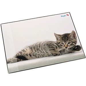Läufer 46592 bureauonderlegger kat grijs, 53 x 40 cm, antislip bureauonderlegger voor kinderen, met transparant zijvak