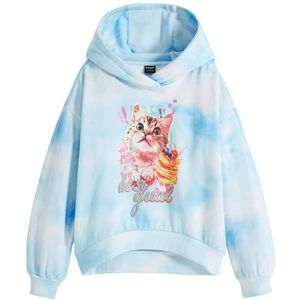 Desigual - Arty - Sweater - Multicolor - Katoen