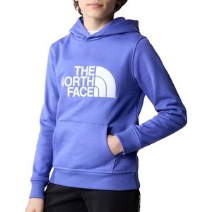 THE NORTH FACE Drew Peak Sweatshirt met capuchon Dopamine Blue 140