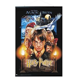 Erik Magnetische posterlijst met poster - Harry Potter onder de steen van de wijzen - poster met lijst