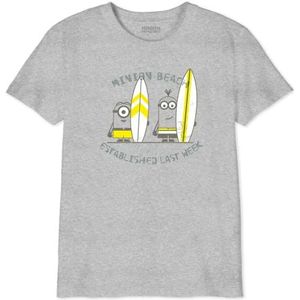 The Minion Monsters T-shirt voor jongens, Grijs Melange, 14 Jaren