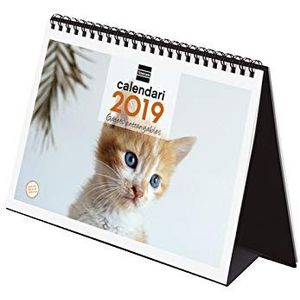 Finocam 780332919 - tafelkalender 2019