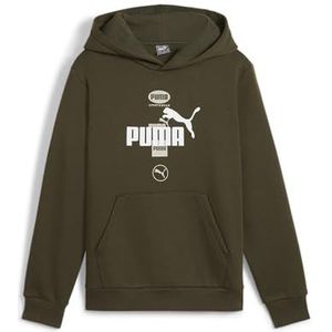 PUMA POWER Graphic Hoodie FL B Dark Olive