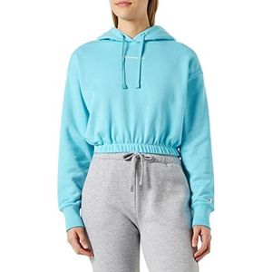 Champion Legacy American Classics Powerblend Terry Small Logo Boxy Sweatshirt met capuchon, lichtblauw, XXL voor dames