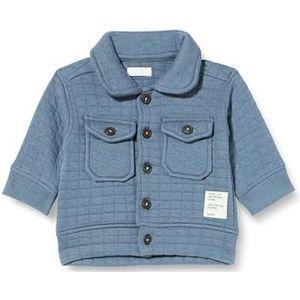 Noppies Baby Sweatvest Bladenboro Blauw