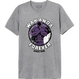 Marvel T-shirt voor heren, Grijs Melange, 3XL