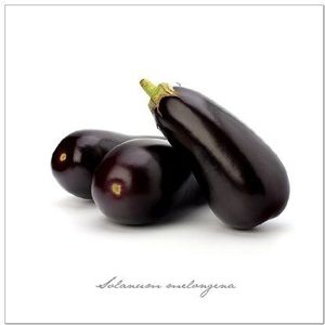 Pro-Art gla399b muurschildering GlasArt ""Aubergine"", 50 x 50 cm