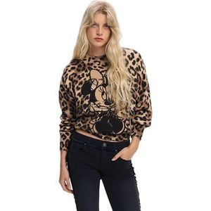 Desigual - Minnie - Vrouwentrui - Dichte Breipullover