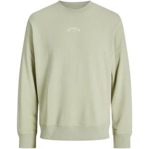 JJ REBEL Heren Jrebbenny Sweat Crew Neck, desert sage, XXL