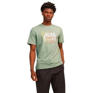 Jack & Jones JCOMAP Summer Logo Tee SS Crew Neck SN, desert sage, S