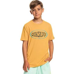 Quiksilver T-shirt voor jongens, geel, L / 14