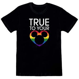 Heroes Inc Disney T-shirt True to Your Heart - Rainbow Disney Collection maat XL, Meerkleurig, Eén maat
